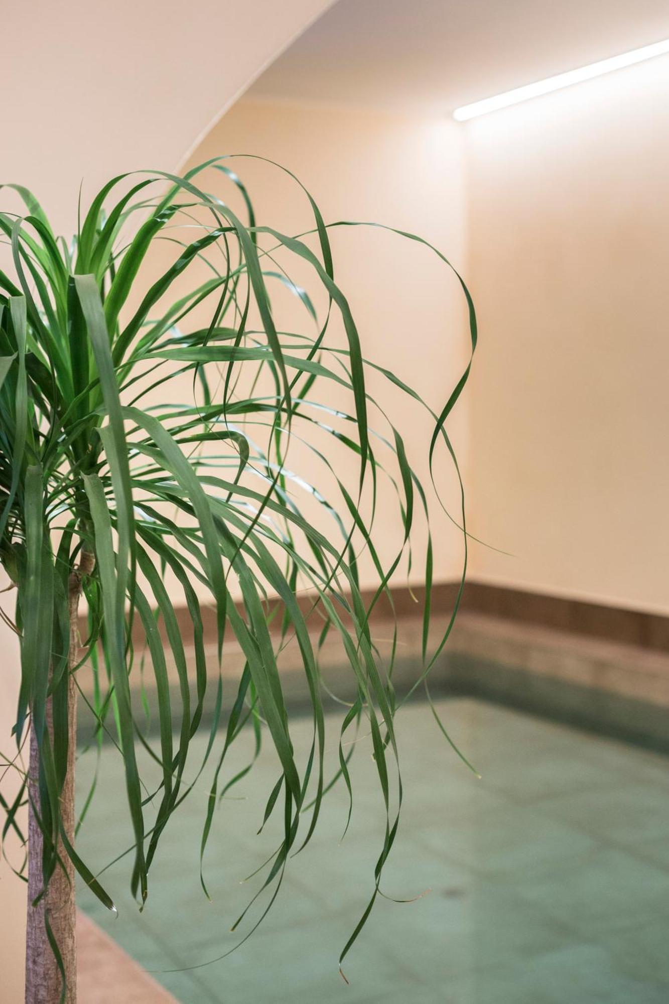 Agave In Citta Ξενοδοχείο Λιβόρνο Εξωτερικό φωτογραφία